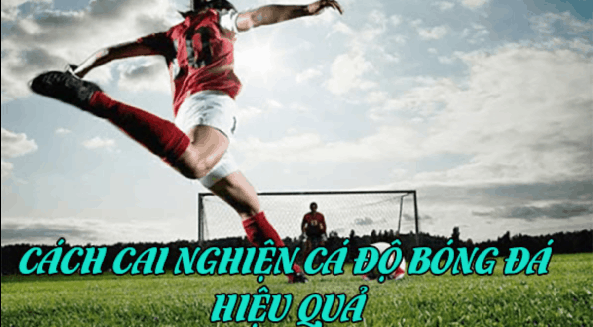 5 cách để cái nghiện cá độ bóng đá online hiệu quả nhất 2021