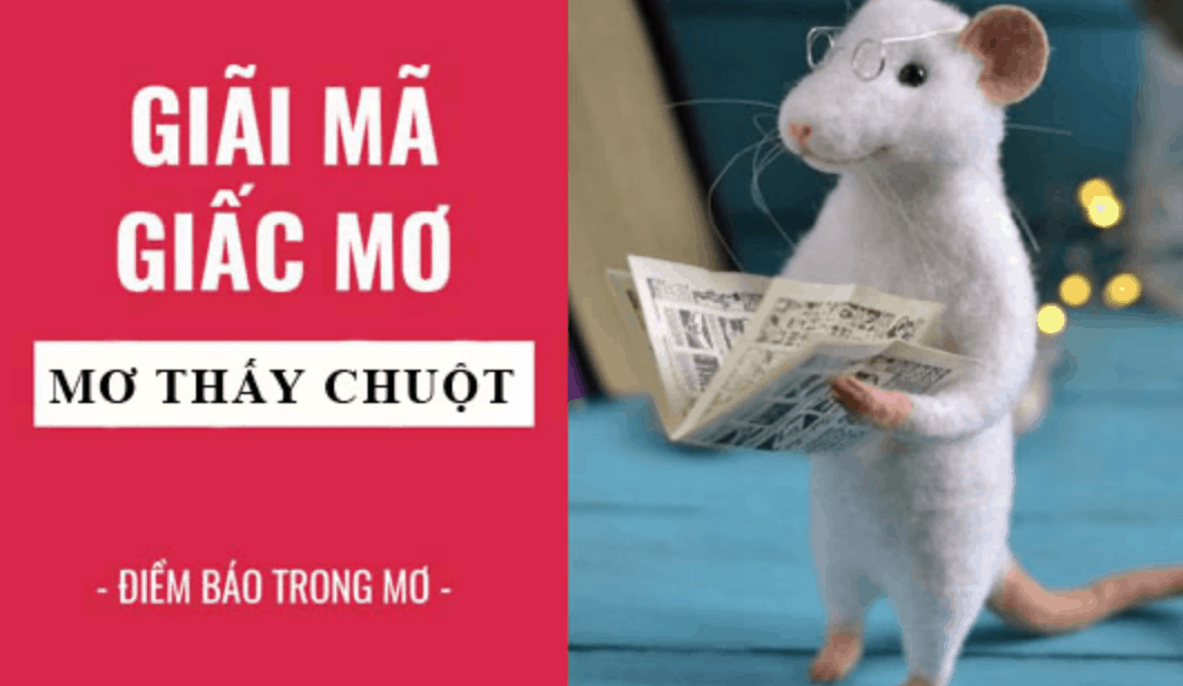 Cảnh báo: Mơ thấy chuột và những điềm báo chẳng lành. Mơ thấy chuột mang đến con số thú vị và may mắn nào?