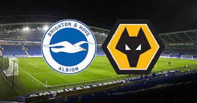 soi keo bk8club – brighton vs wolves, 16/12/2021 – nha