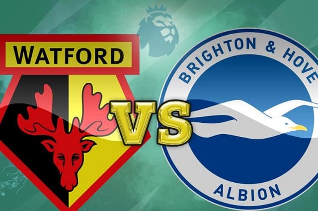 soi keo tran dau watford vs brighton tai bk8club ngay, 12/02/2022