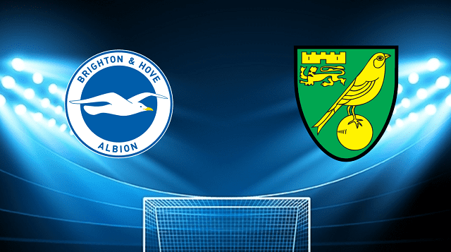 soi keo tran dau brighton vs norwich city tai bk8club ngay, 02/04/2022